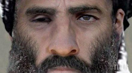 сензационна версия лидерът талибаните молла омар живеел носа американските военни