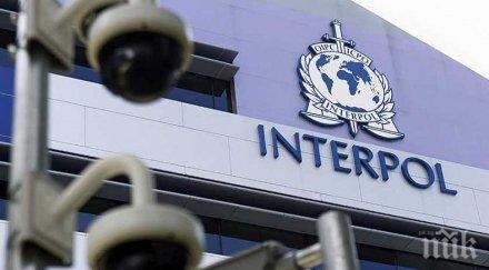 издирваният измамник индия свобода