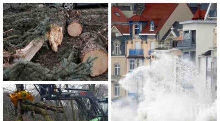 бедствието идва урагани пометоха покриви събориха дървета централна европа жертва ранени стихията настъпва българия сняг дъжд