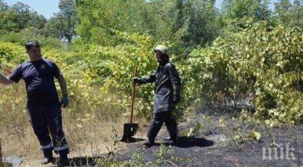 последните минути сухи треви горят главен път