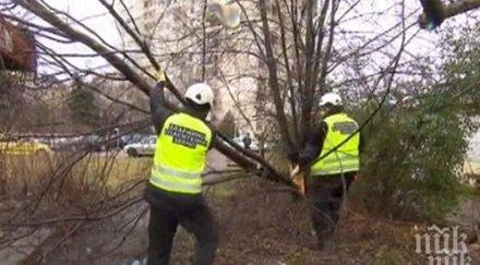 вятър отнесе покриви румъния