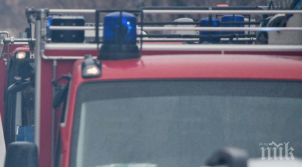 благоевградчанин запали овощни градини