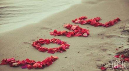 четирите ревниви зодии