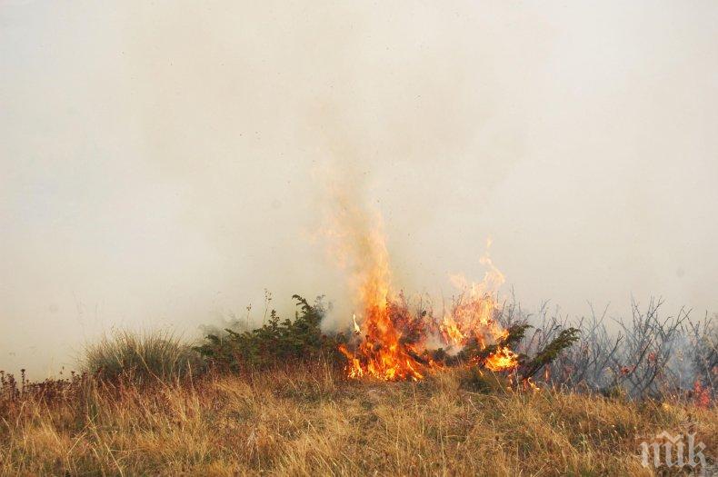 Горящи храсти и треви в Петричко вдигнаха на крак пожарната