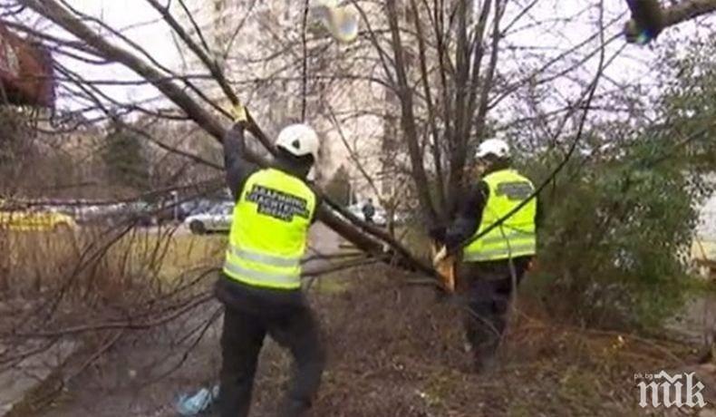Вятър отнесе покриви в Румъния