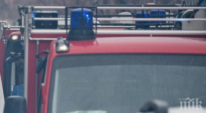 Благоевградчанин запали овощни градини