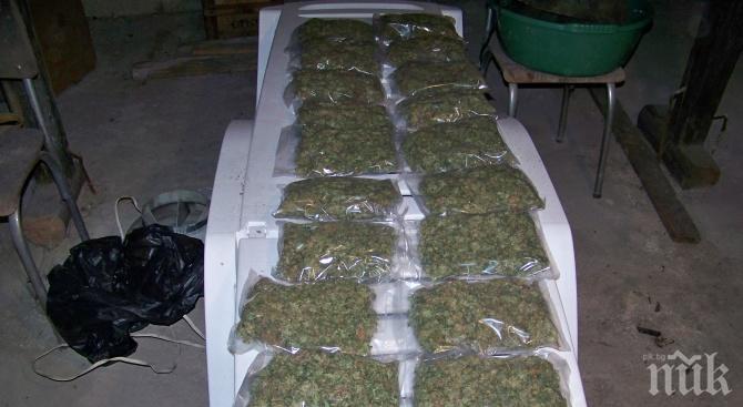 „Нова Македония“: Балканският път на дрогата става по-малко привлекателен