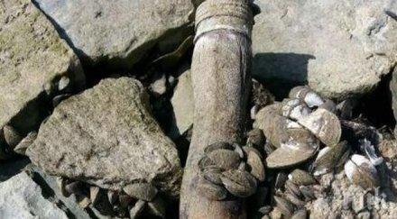 спецекип ввс обезвреди боеприпаси открити луковит