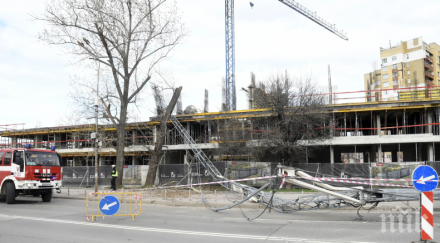 страшилище огромен метален звяр стовари булевард младост снимки