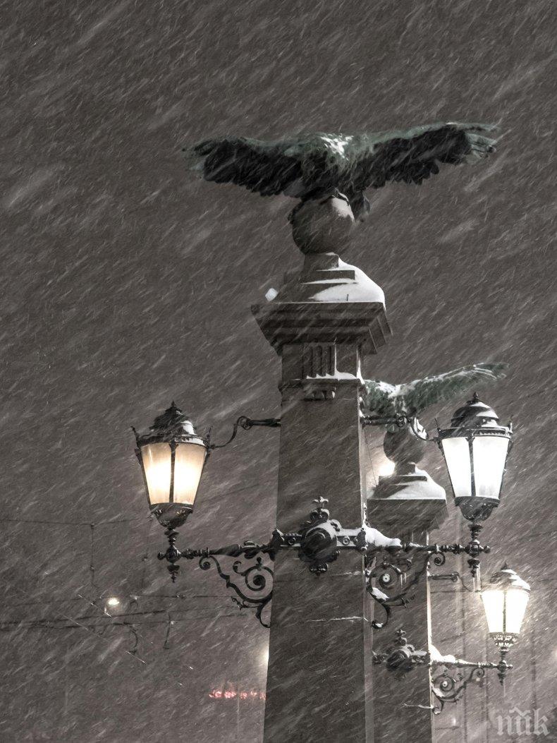 НАЙ-ДОБРИТЕ ГРАДОВЕ: София е на 116 място, Виена води класацията