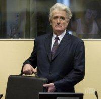 Главният прокурор на трибунала в Хага за присъдата срещу Радован Караджич: Това не е присъда срещу сръбския народ