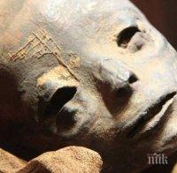 МИСТЕРИЯ: Откриха мумия на извънземно в Египет! Хуманоидът е погребан с големи почести