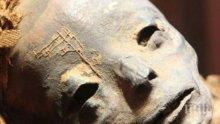 МИСТЕРИЯ: Откриха мумия на извънземно в Египет! Хуманоидът е погребан с големи почести