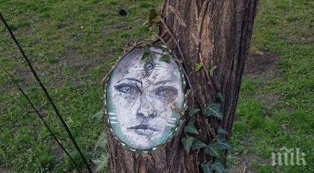 ликът загадъчна жена появи дърво пловдив снимки