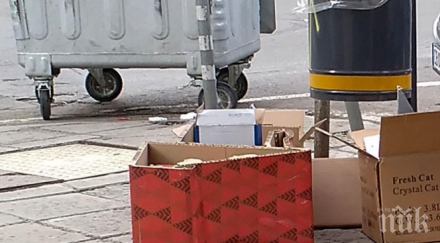 стартира пролетното почистване софия