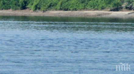 масово бракониерство дунав