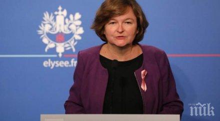 френска министърка нарече котарака брекзит