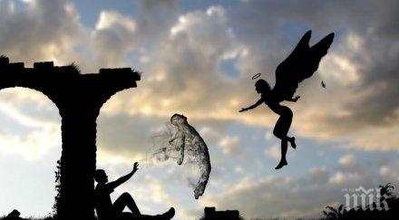 шокиращо откритие смъртта хората виждат едни същи сънища