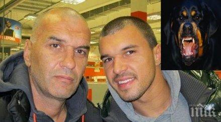 жесток терор бащата валери божинов тормози цяло село ротвайлера свирепият пес разкъсва кучета налита хора