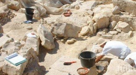 музеят видин търси 350 работници лятото