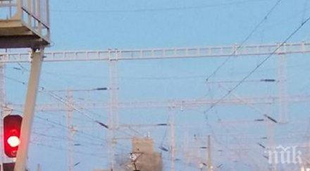 драма блъснатият влак пловдив пишман самоубиец снимка