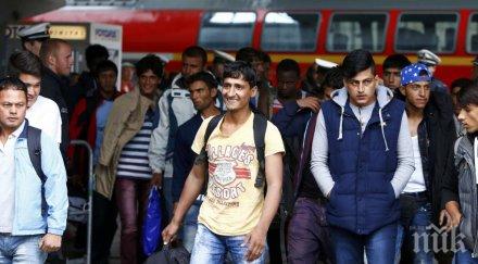 строят бежански лагер сърцето търново