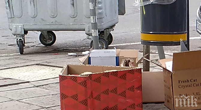 Стартира пролетното почистване в София