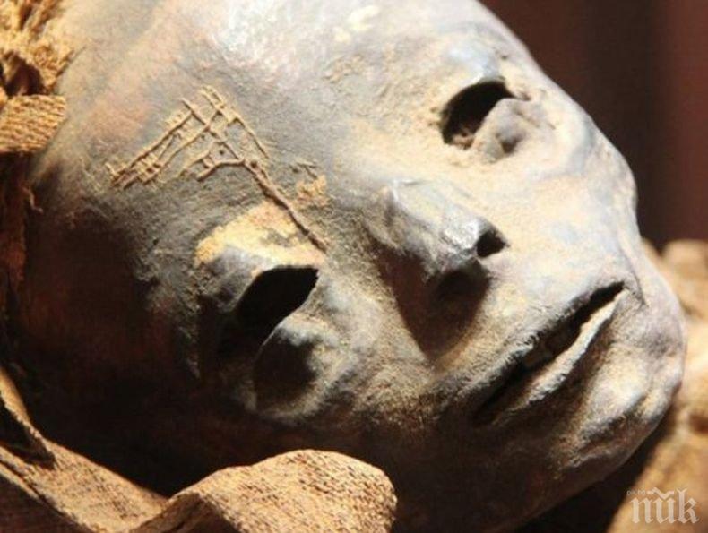 МИСТЕРИЯ: Откриха мумия на извънземно в Египет! Хуманоидът е погребан с големи почести