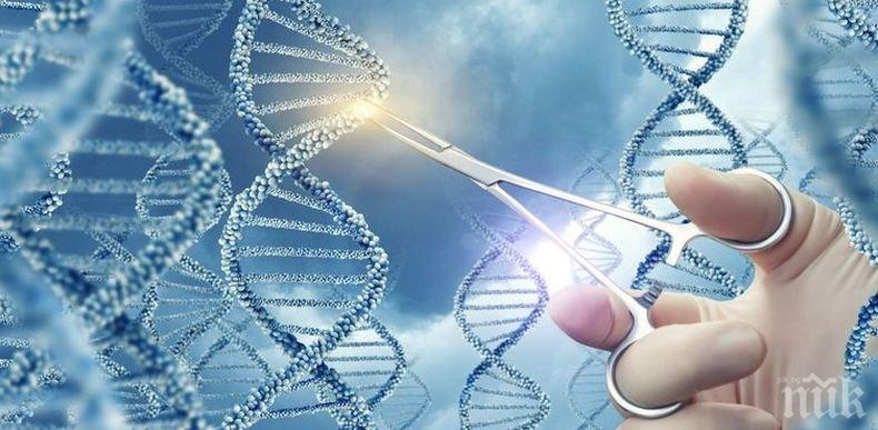 Експерти: Редактирането на гени с репродуктивни цели е безотговорно