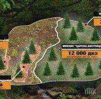 ОТ ПОСЛЕДНИТЕ МИНУТИ: Върховният съд спря делото за Царските имоти