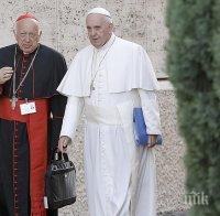 Сексскандал тресе Ватикана, още един кардинал подаде оставка