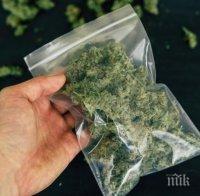 Задържаха бургазлия с 250 г марихуана, оказа се стара кримка 