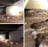 Шокираща находка: Американец опита да оправи телевизионен кабел, минаващ под къщата му, и попадна на...