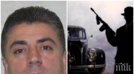 сензационно болен любов младеж гръмнал куршума боса клана гамбино