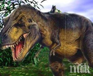 канада кръсти краля тиранозаврите бутилка уиски