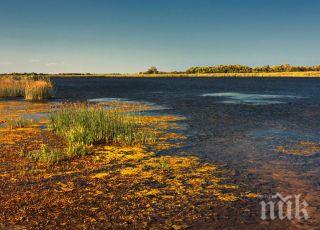 млн лева зелената лъжа шабленското езеро