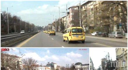 ИЗВЪНРЕДНО В ПИК TV! Такситата излязоха на протест - над 600 жълти коли задръстиха площад "Александър Невски" (ОБНОВЕНА/СНИМКИ)