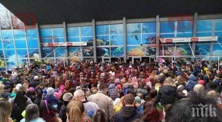 мелета делфинариума заради безплатен вход снимки