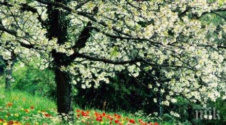 внимание пролетта събужда цистита