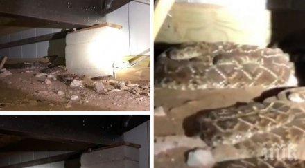 шокираща находка американец опита оправи телевизионен кабел минаващ къщата попадна