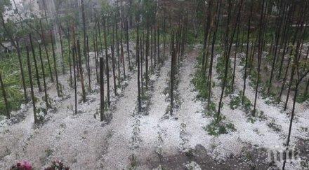 правителството планира земеделските стопани плащат борба градушките