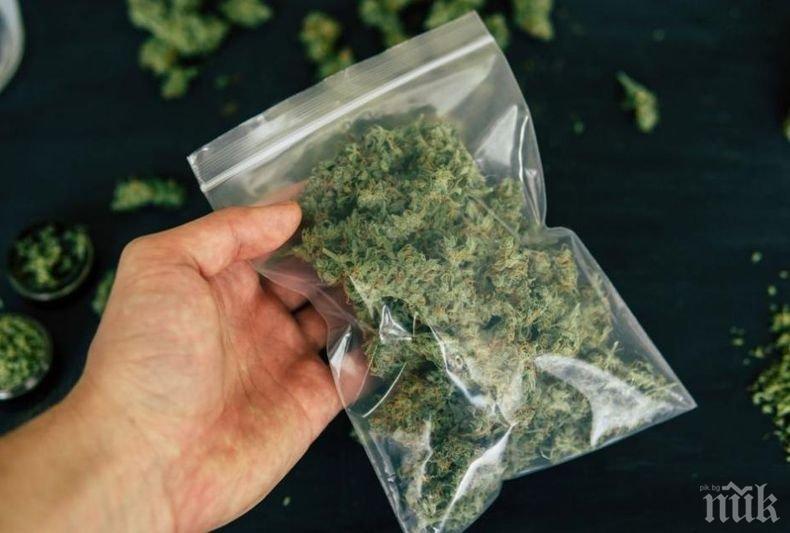 Задържаха бургазлия с 250 г марихуана, оказа се стара кримка 