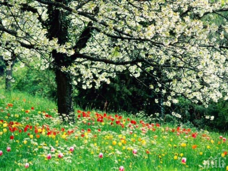ВНИМАНИЕ: Пролетта събужда цистита