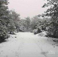 10 см сняг натрупа на Пампорово