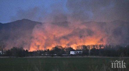 последните минути борова гора гори магистрала струма