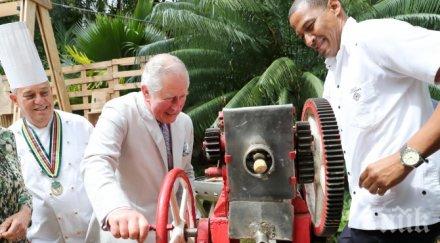 принц чарлз мля тръстика куба снимки