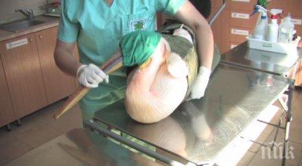 гръмнаха розов пеликан каспичан