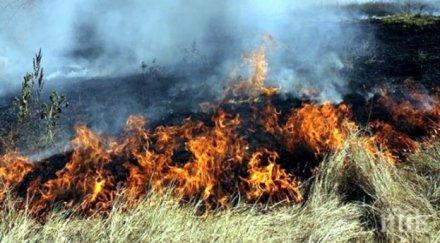 подпалиха резервата сребърна