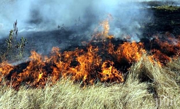 Подпалиха резервата „Сребърна“