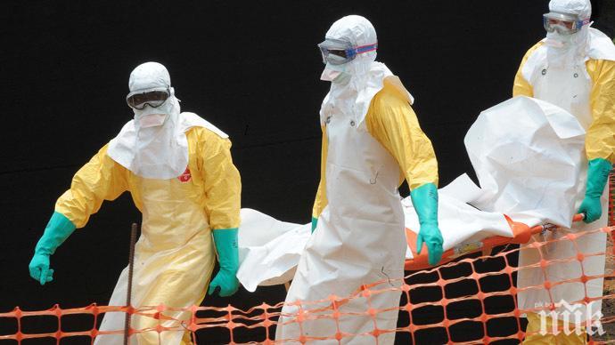 Ебола убива над 1000 души в Конго